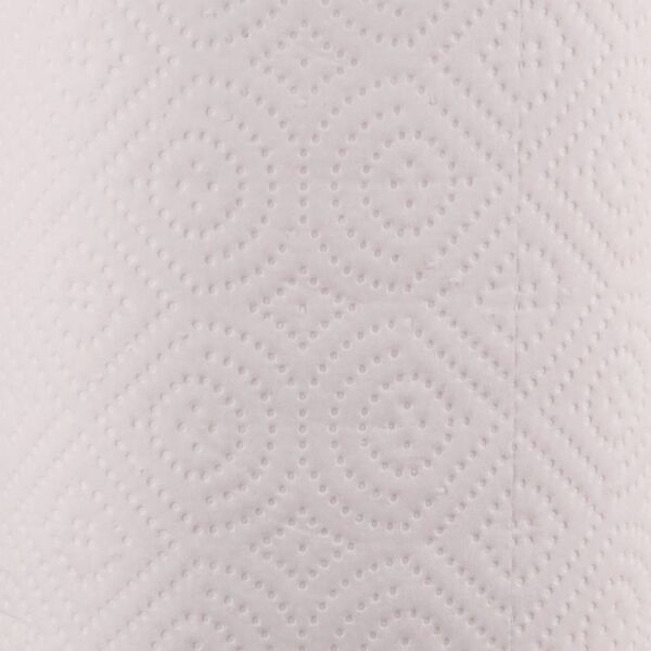 Kitchen Roll Towel, 2-Ply, 11 x 8.5, White, 250/Roll, 12 Rolls/Carton - Image 6