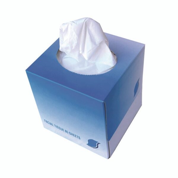 Facial Tissue Cube Box, 2-Ply, White, 85 Sheets/Box, 36 Boxes/Carton