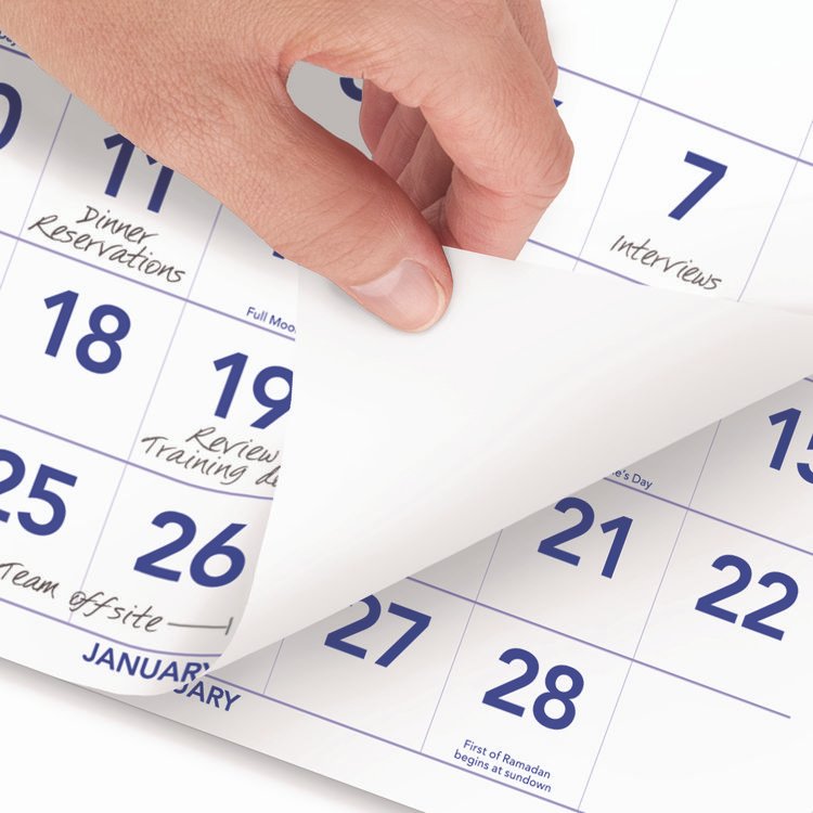 Deluxe Three-Month Reference Wall Calendar, Vertical Orientation, 12 x 27, White Sheets, 14-Month: Dec 2024 to Jan 2026 - Image 4