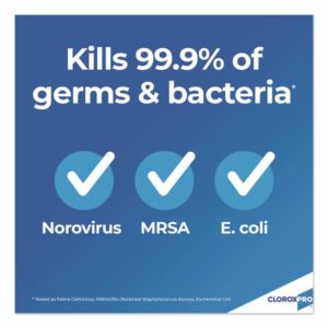 Concentrated Germicidal Bleach, Regular, 121 oz Bottle