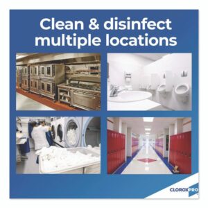 Concentrated Germicidal Bleach, Regular, 121 oz Bottle