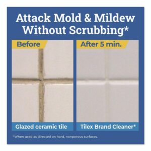 CloroxPro Disinfecting Instant Mold and Mildew Remover, 32 oz Smart Tube Spray, 9/Carton