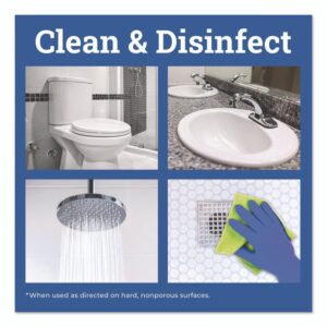 CloroxPro Disinfecting Instant Mold and Mildew Remover, 32 oz Smart Tube Spray, 9/Carton