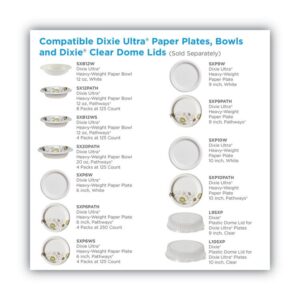 Pathways Soak Proof Shield Heavyweight Paper Plates, 10.13" dia, Green/Burgundy, 125/Pack