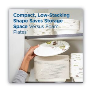 Pathways Soak Proof Shield Heavyweight Paper Plates, WiseSize, 10.13" dia, Green/Burgundy, 500/Carton