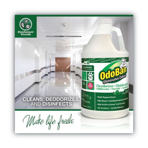 Concentrated Odor Eliminator, Eucalyptus, 1 gal Bottle, 4/Carton - Image 2