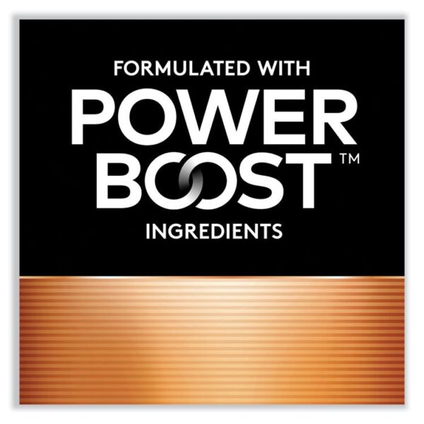 Power Boost CopperTop Alkaline AA Batteries, 36/Pack