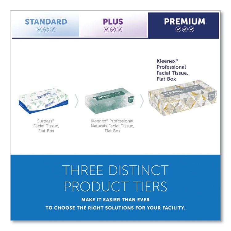 White Facial Tissue for Business, 2-Ply, 125 Sheets/Box, 12 Boxes/Carton - Image 2